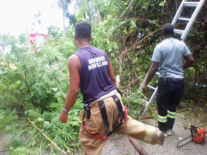 La imagen tiene un atributo ALT vacío; su nombre de archivo es WhatsApp-Image-2024-11-07-at-12.34.24-PM-1-700x525.jpeg