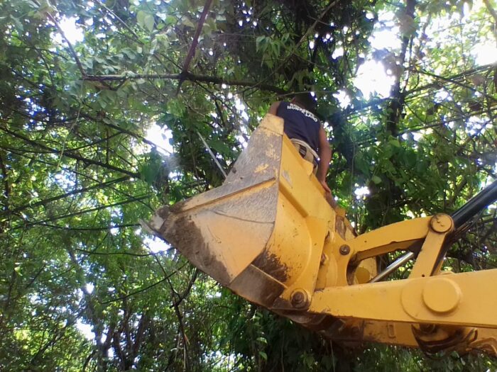 La imagen tiene un atributo ALT vacío; su nombre de archivo es WhatsApp-Image-2024-11-07-at-12.34.24-PM-2-700x525.jpeg