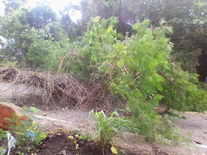 La imagen tiene un atributo ALT vacío; su nombre de archivo es WhatsApp-Image-2024-11-07-at-12.34.24-PM-700x525.jpeg